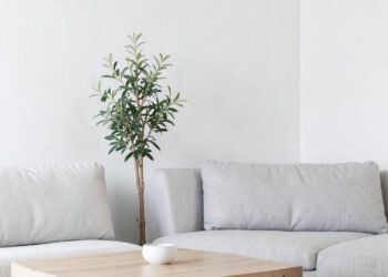 Sala Minimalista Escandinava - Fondos de Salas